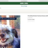 The Little Dog That Could, Becomes a Bestselling Book on Barnes and Noble